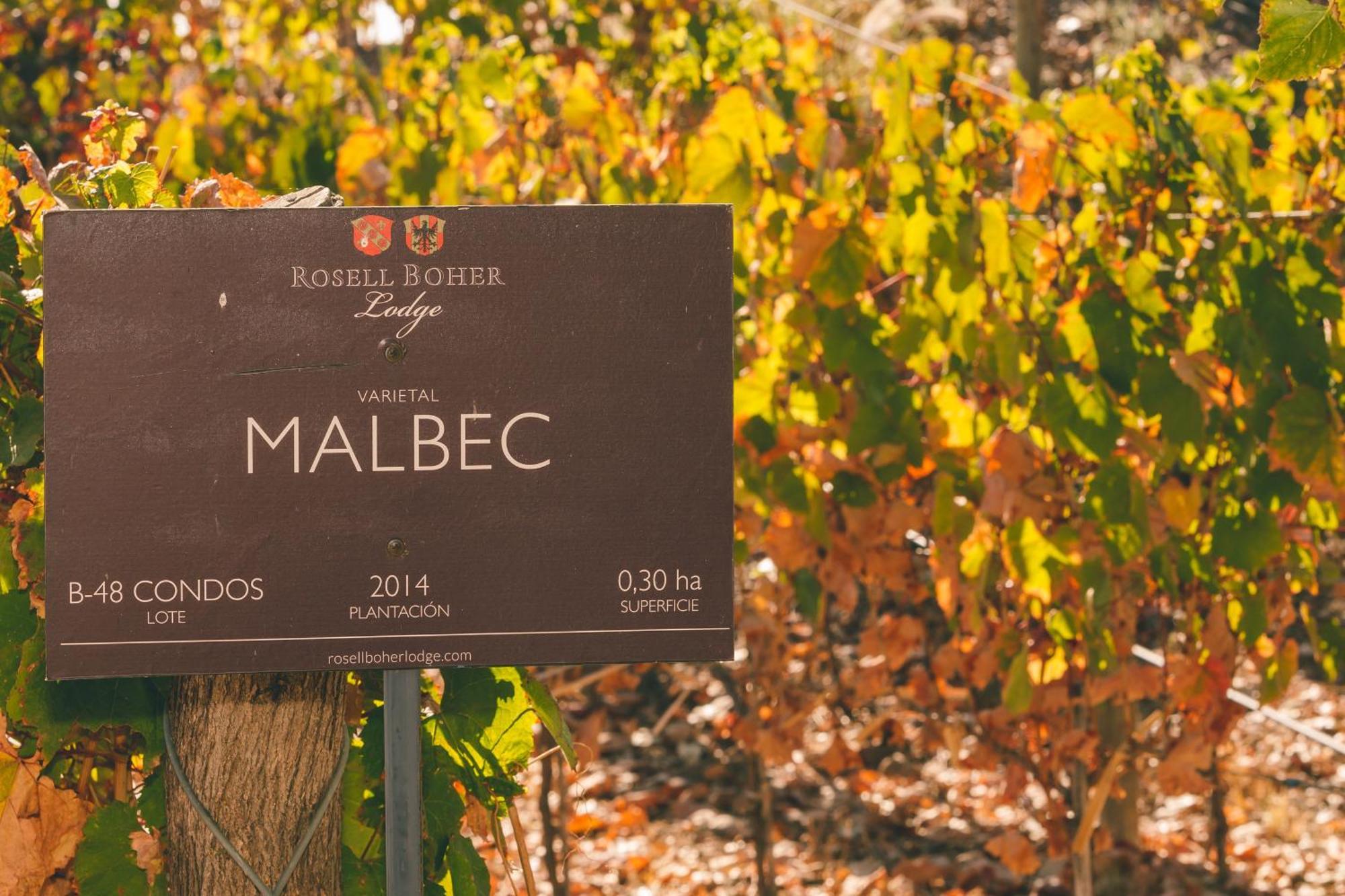 Rosell Boher Winery Lodge & Spa Agrelo Eksteriør billede